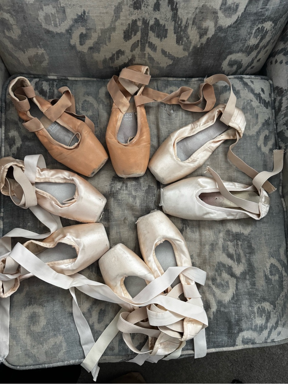 Bloch Used Pointe Shoes for Art